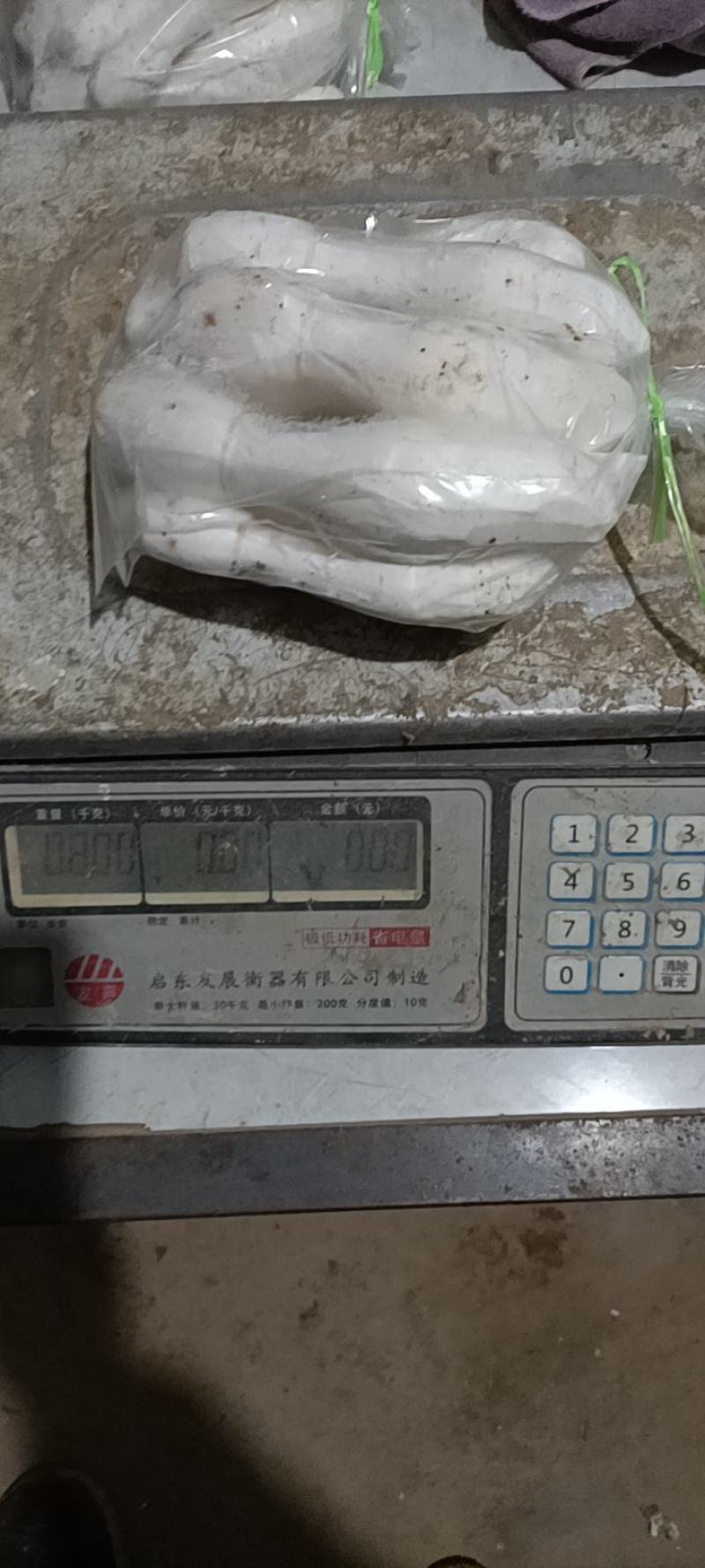 精品鸡腿菇