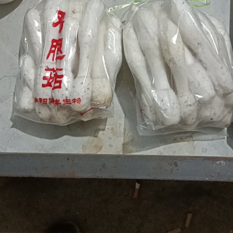 精品鸡腿菇