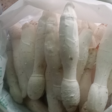 精品鸡腿菇