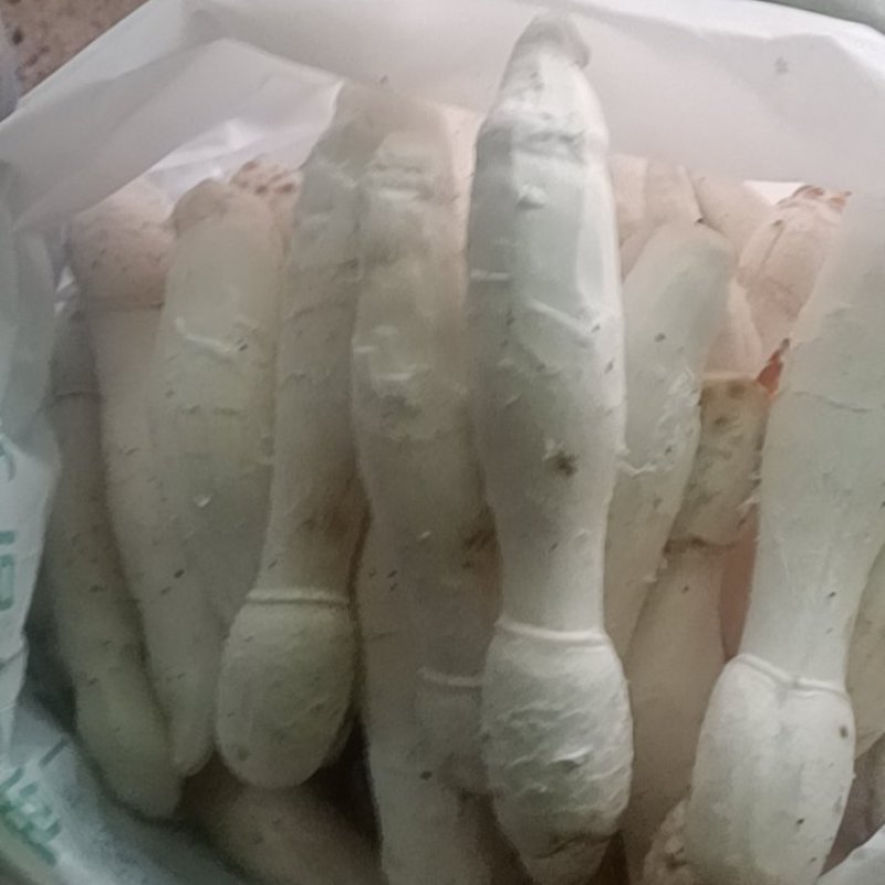 精品鸡腿菇
