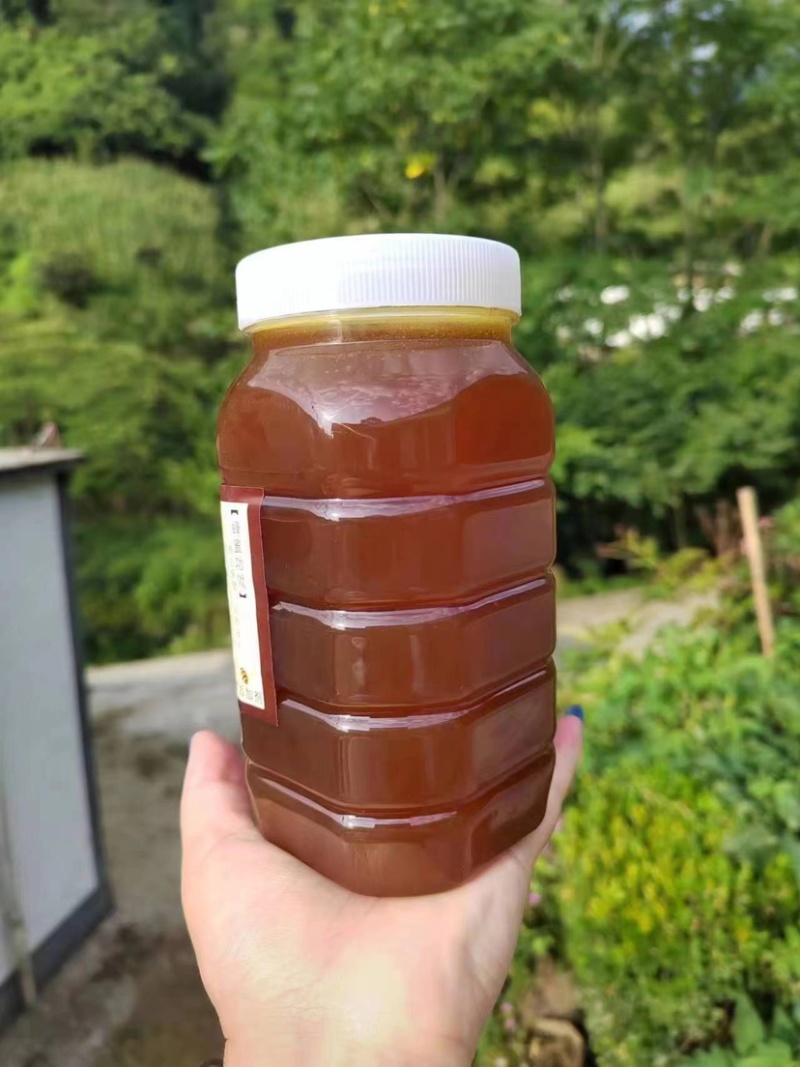 【推荐】自家的土蜂蜜一手货源，农家蜜批发，好货包邮到家
