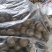 永福罗汉果精品品质保证量大价优欢迎来电洽谈合作更优惠