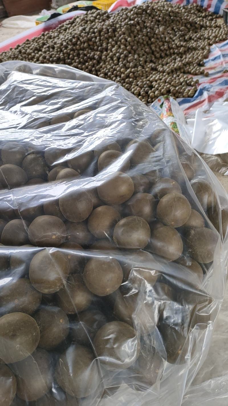 永福罗汉果精品品质保证量大价优欢迎来电洽谈合作更优惠