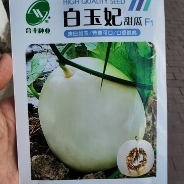 白玉妃甜瓜种子，100粒