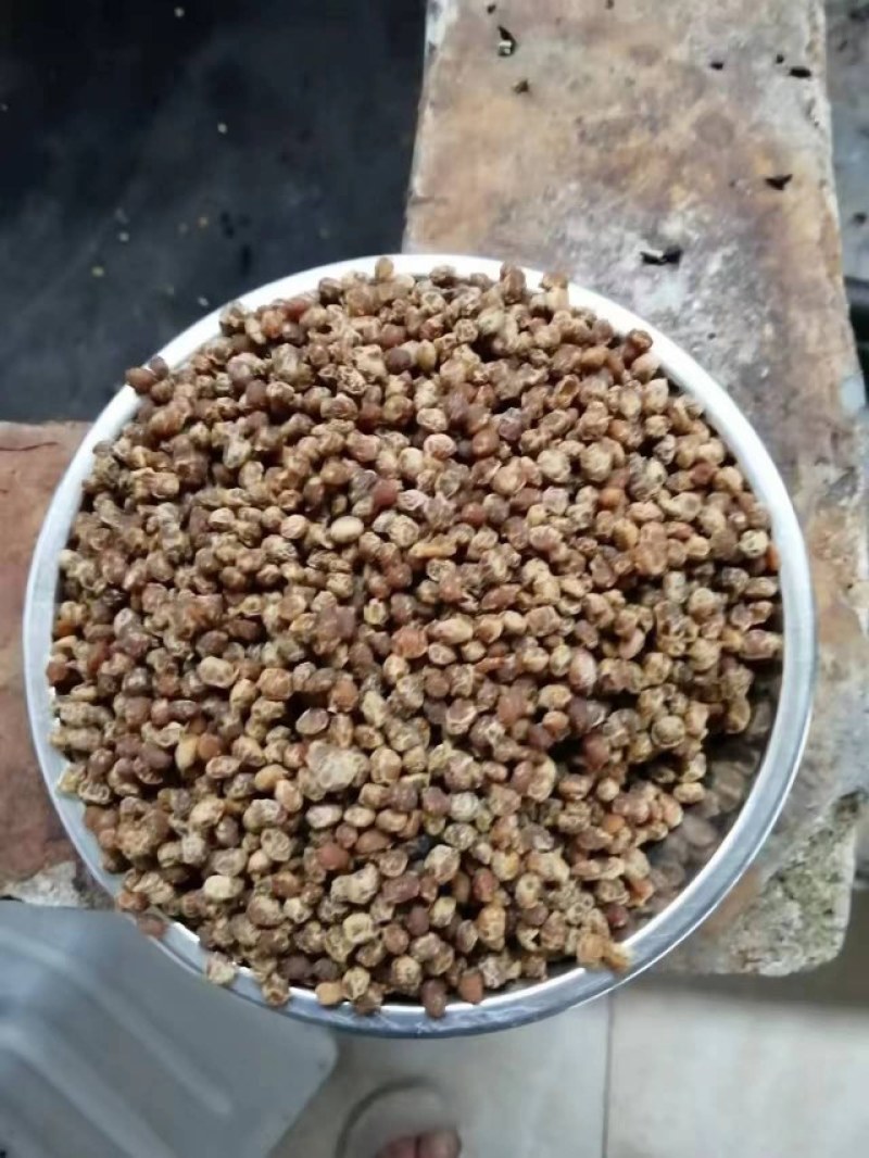 阳江本地黑豆鼓，白豆鼓