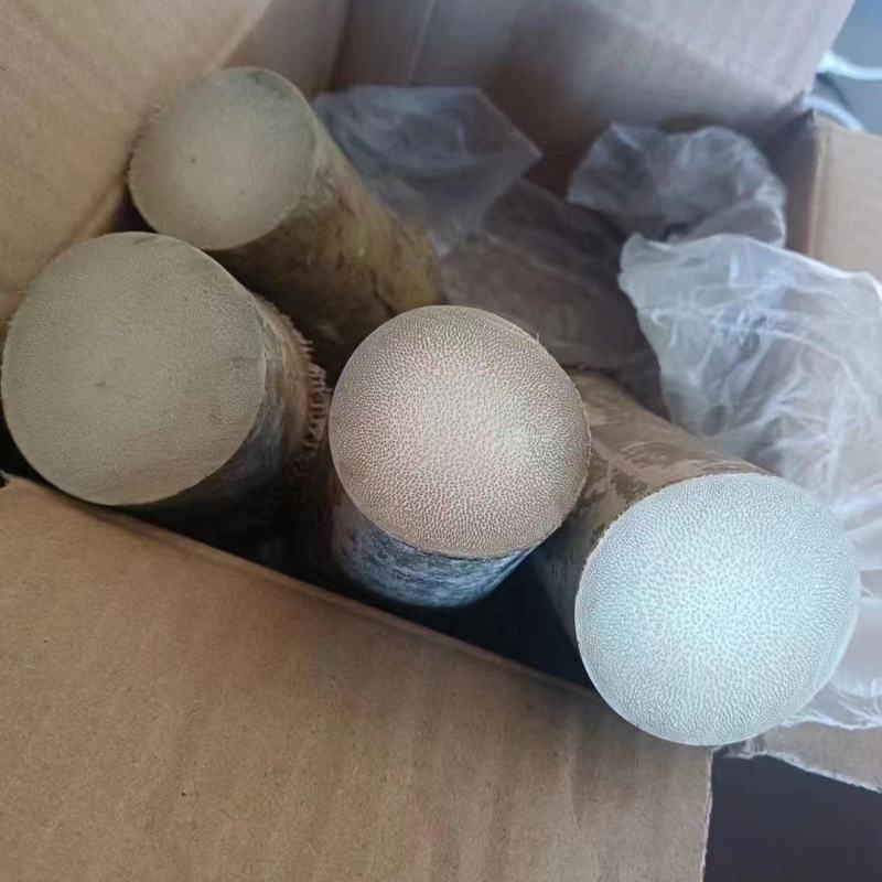 龙血竹