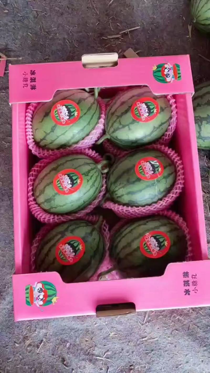 《精L600全美2k西瓜》大红瓤吊瓜小西瓜手剥瓜