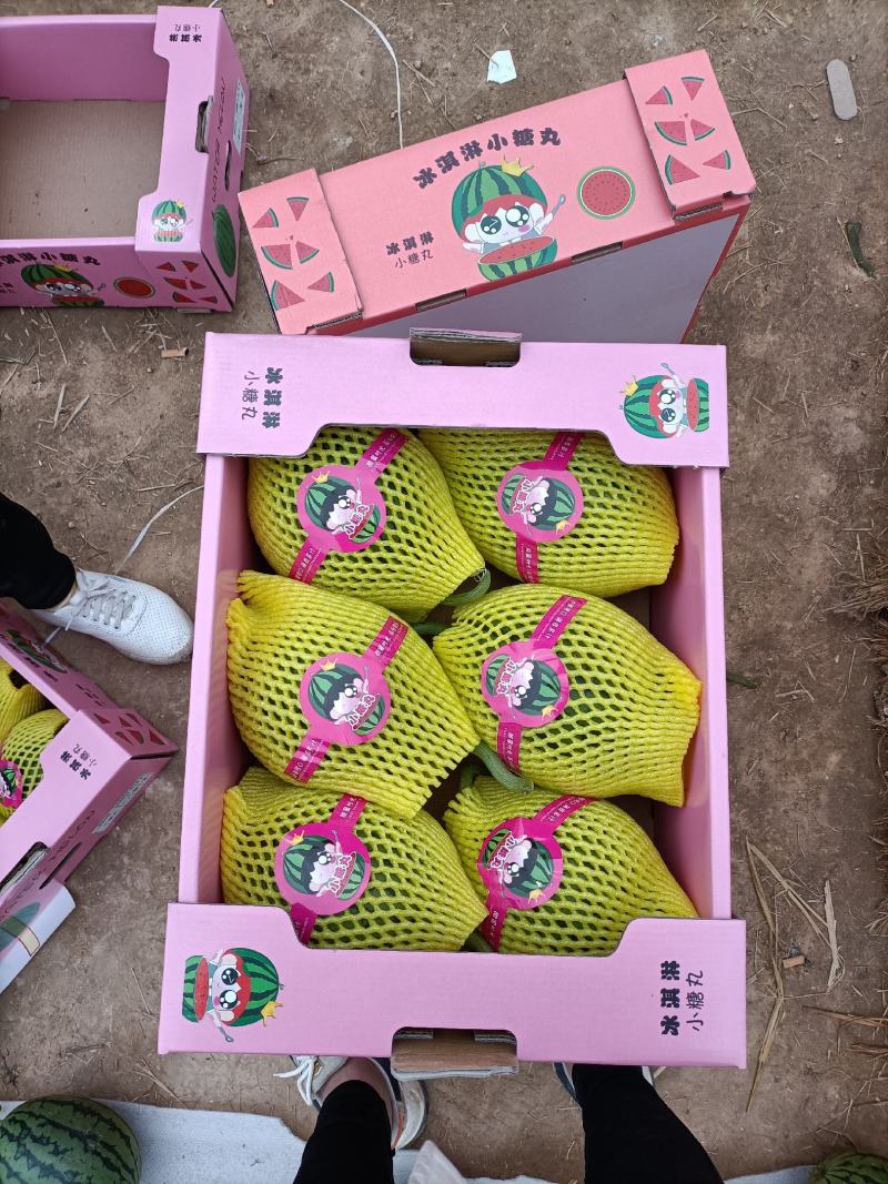 《精L600全美2k西瓜》大红瓤吊瓜小西瓜手剥瓜