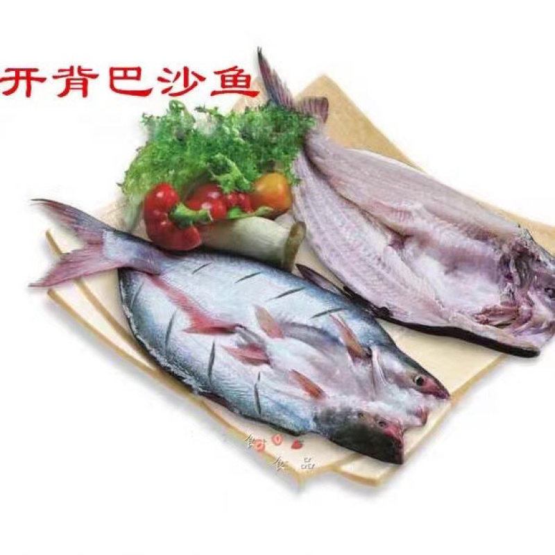 开背鱼