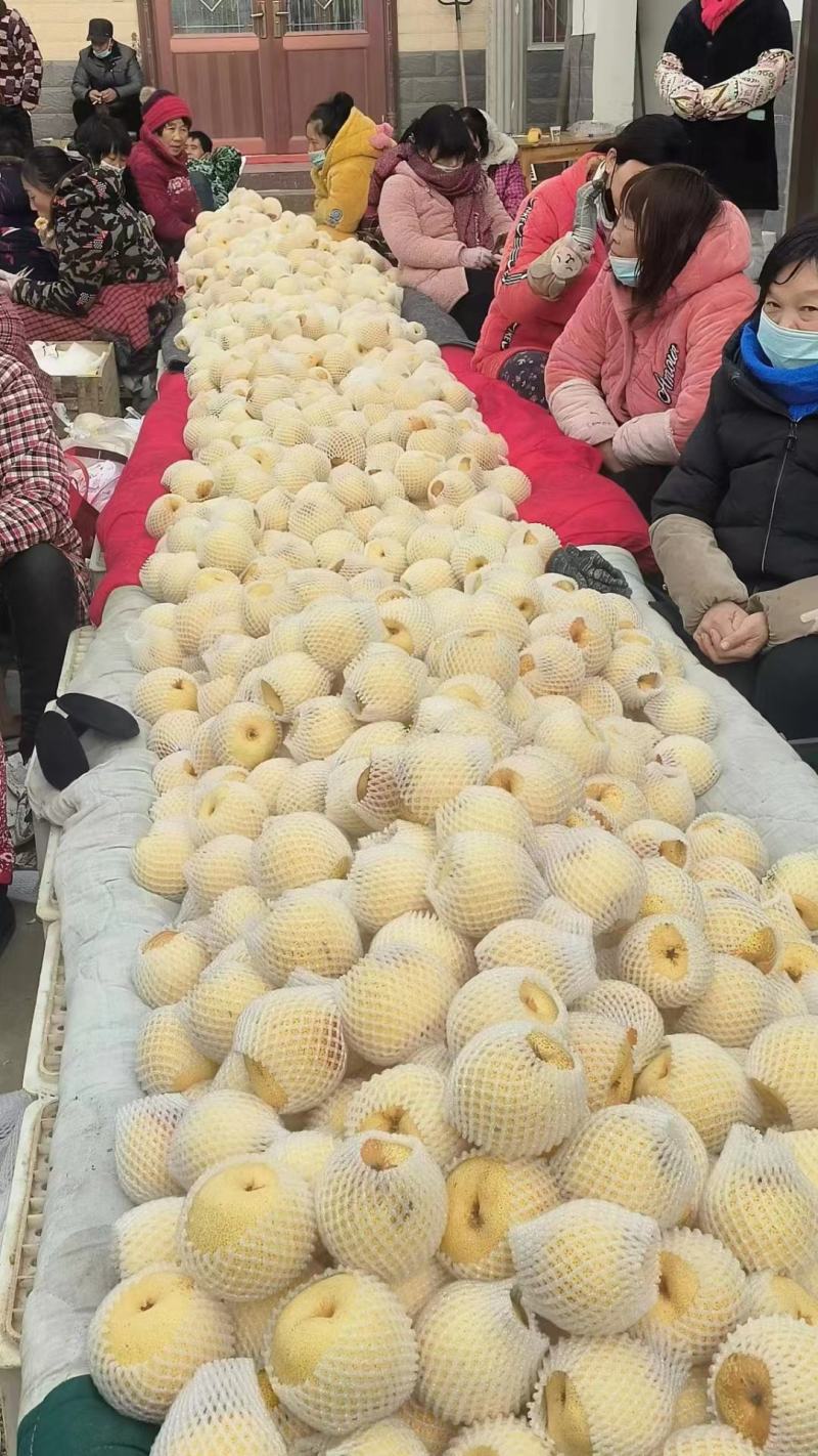 砀山酥梨产地直发脆甜多汁全国发货品质保证