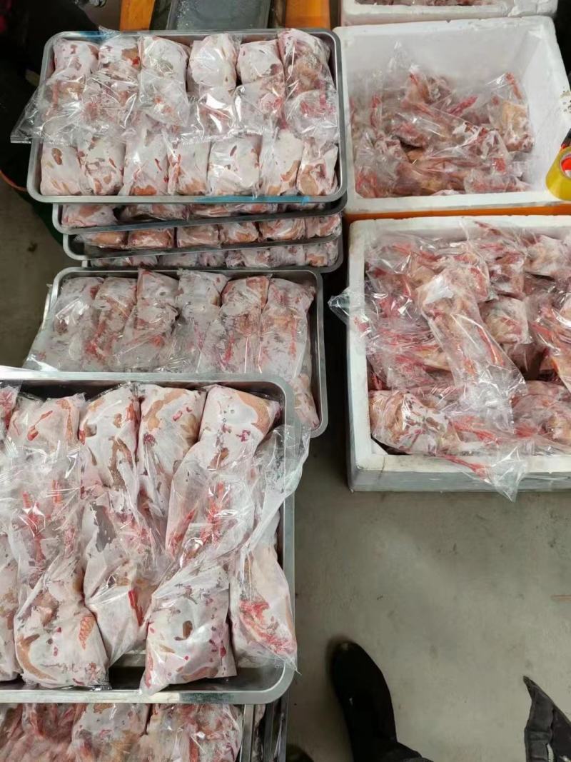 白条乳鸽，原粮乳鸽，鸽肉，老鸽子，对接餐饮批发商