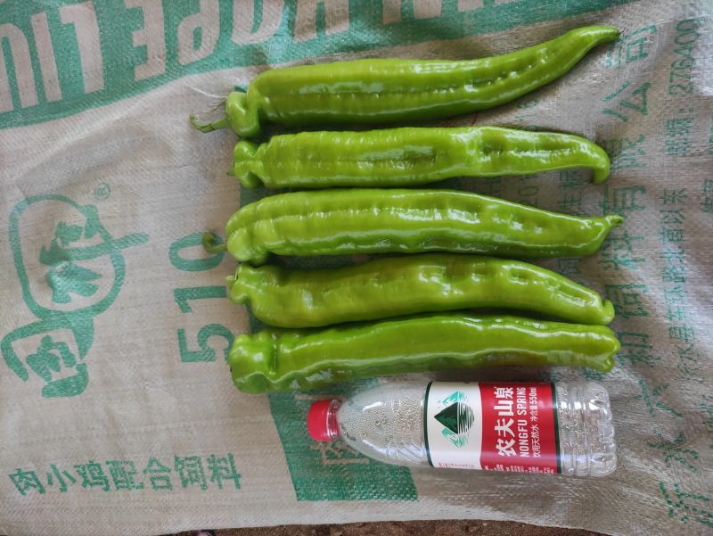 【牛商推荐】黄皮椒，产地一手货源，质量保证，欢迎来电咨询