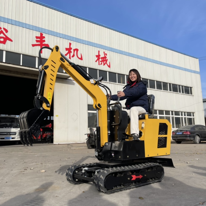 10专业挖机