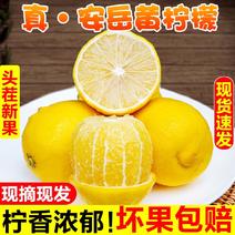 四川安岳新鲜黄柠檬