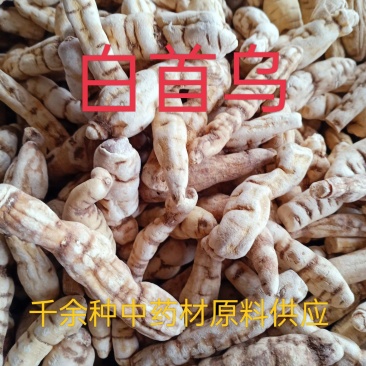 白首乌，中药材白首乌隔山消飞来鹤首乌个质量保证！