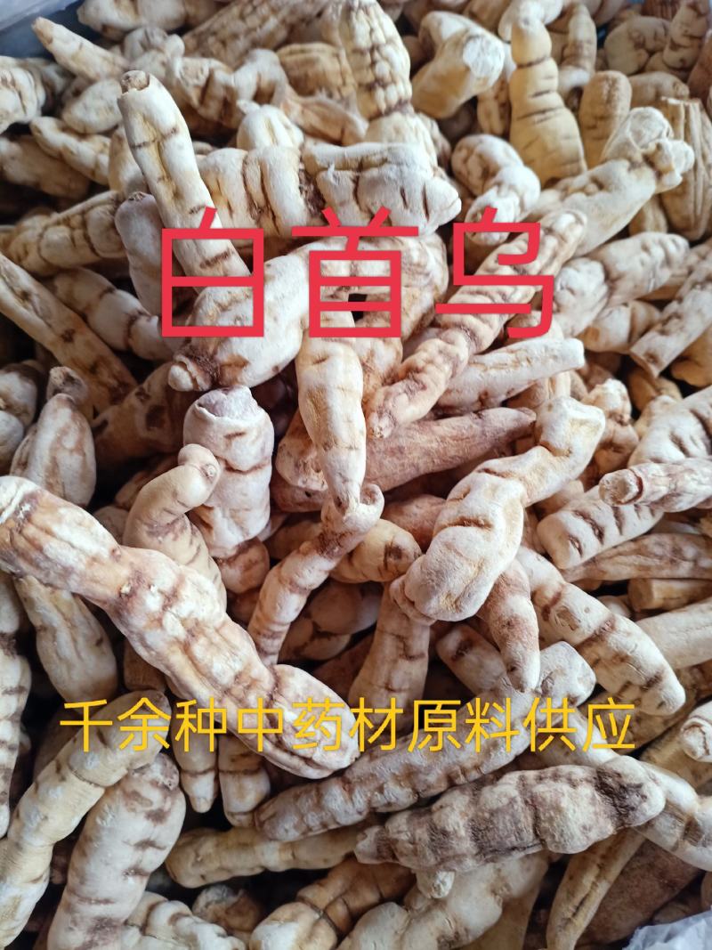 白首乌，中药材白首乌隔山消飞来鹤首乌个质量保证！