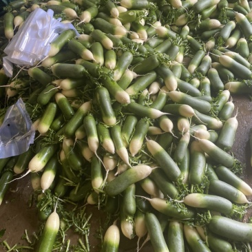 需要的朋友可以联系我