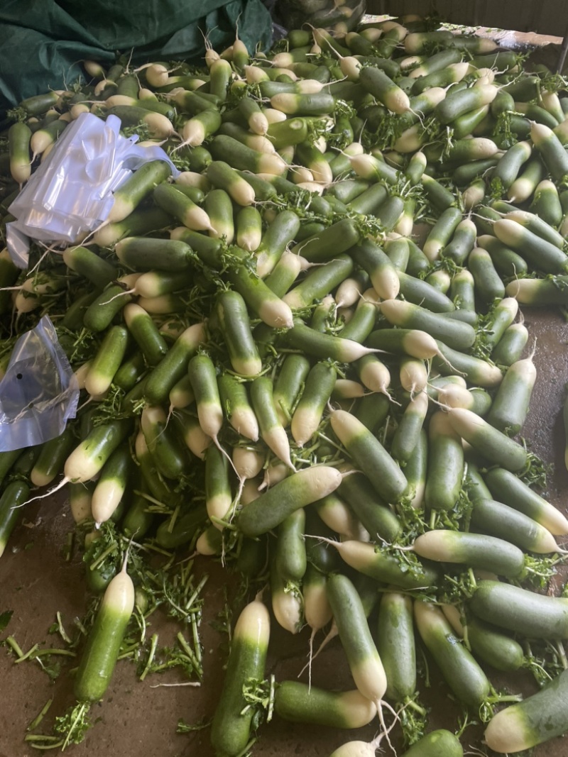 需要的朋友可以联系我
