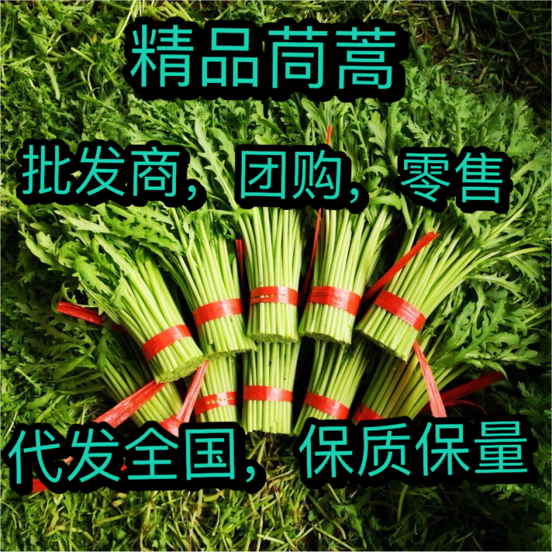茼蒿菜，精品菜，全国发货，保质保量，质量好，