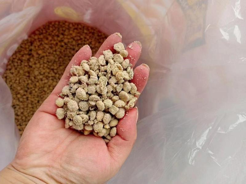 炽繁大豆蛋白有机肥料微生物发酵菌肥豆肥高有机质90