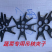厂家直供：吊秧夹子，黄瓜吊秧夹子，西红柿吊秧夹子厂家发货
