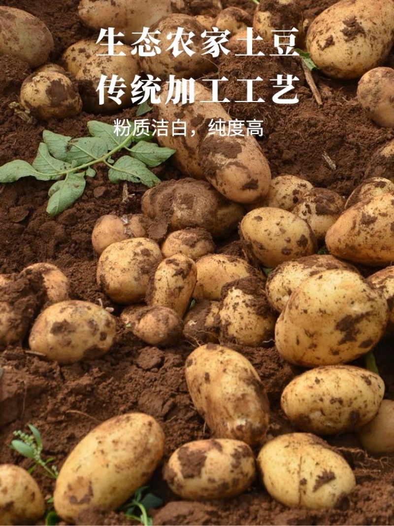 甘肃特产马铃薯淀粉天水手擀粉制作原料