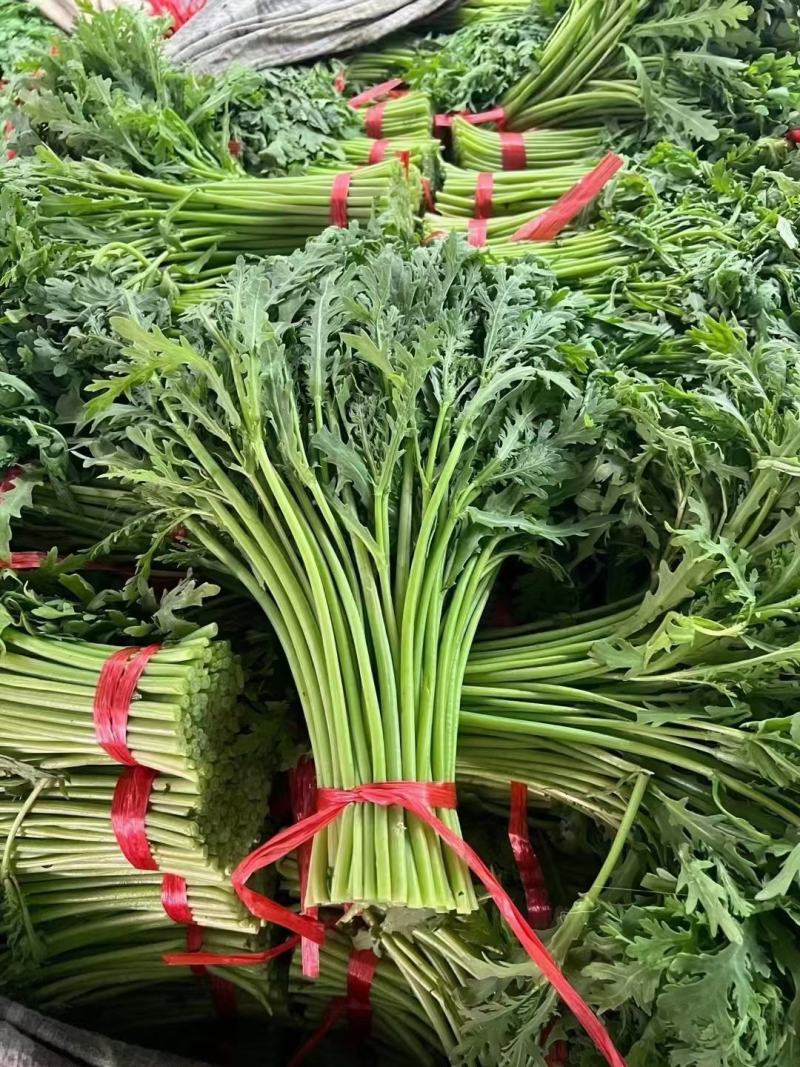 精品茼蒿菜全国各地发货保质保量一条龙服务