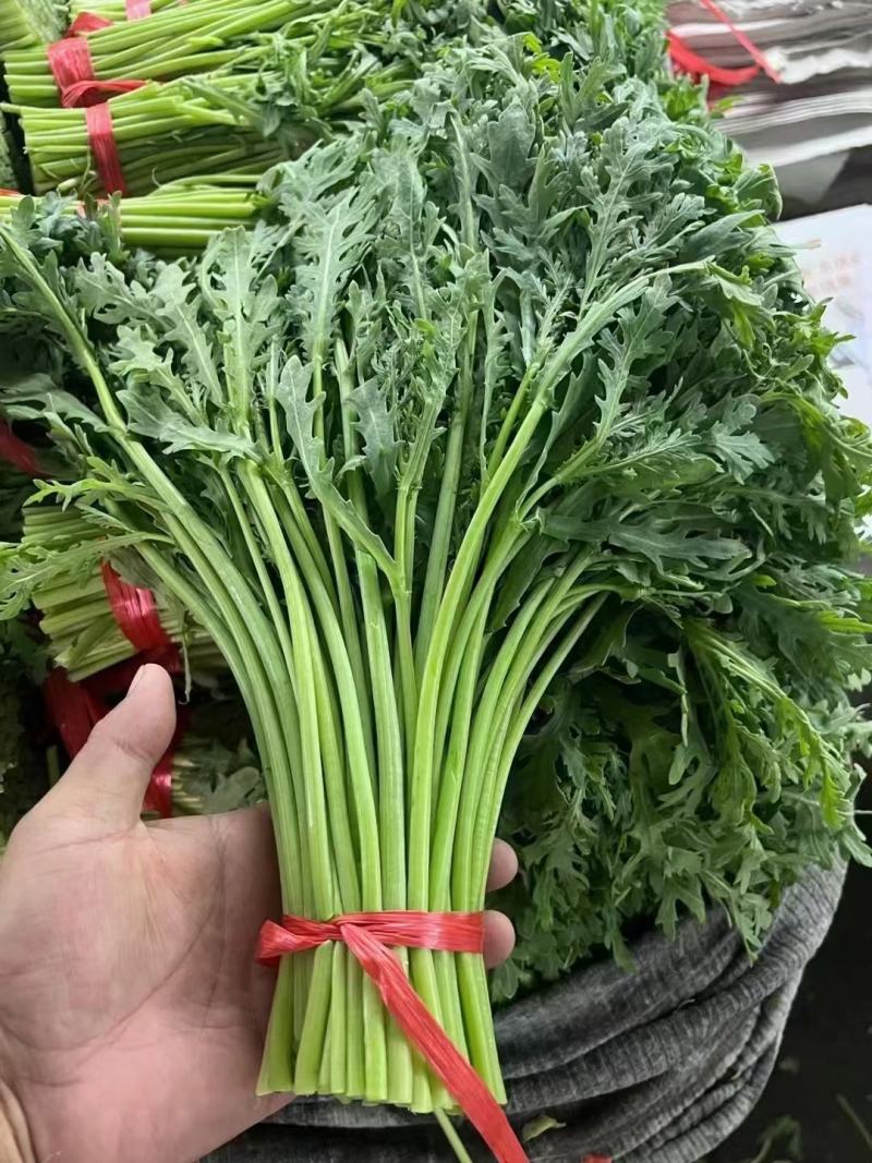 精品茼蒿菜全国各地发货保质保量一条龙服务