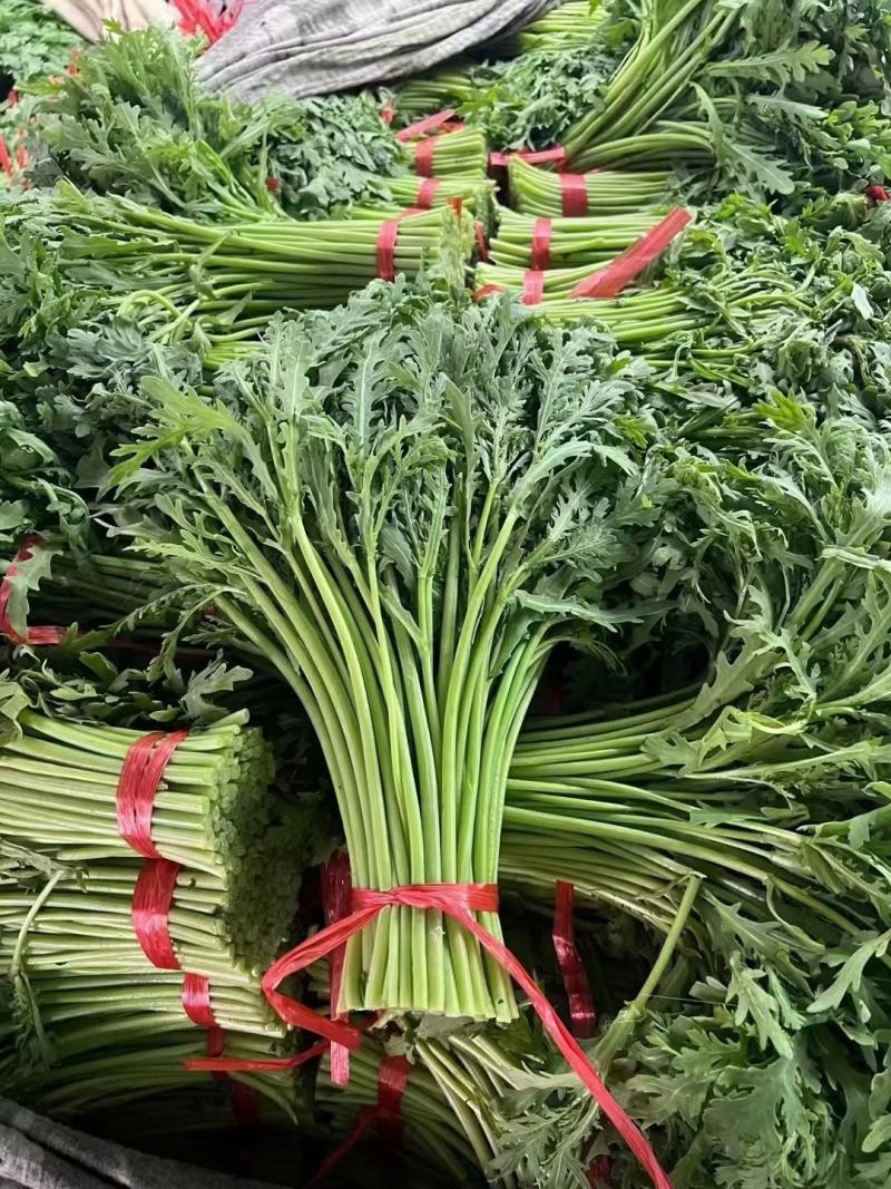 精品茼蒿菜全国各地发货保质保量一条龙服务