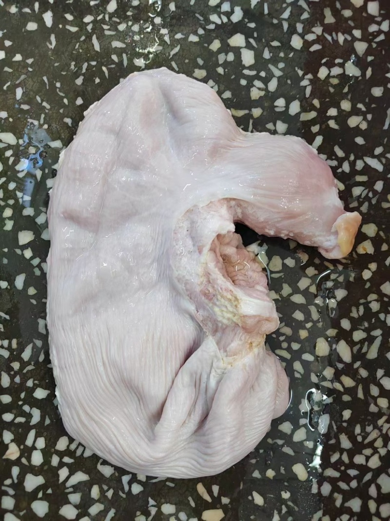 鲜猪肚（厂家直销）国产肥猪鲜猪肚，物美廉价，鲜货包邮