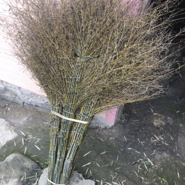货源充足扫帚农用松土24小时在线服务