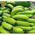 香蕉，海南香蕉，无锈斑，一手货源，量大从优，欢迎采购