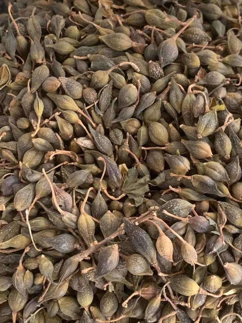 连翘【包邮】三斤起发货可批量可零售量大从优