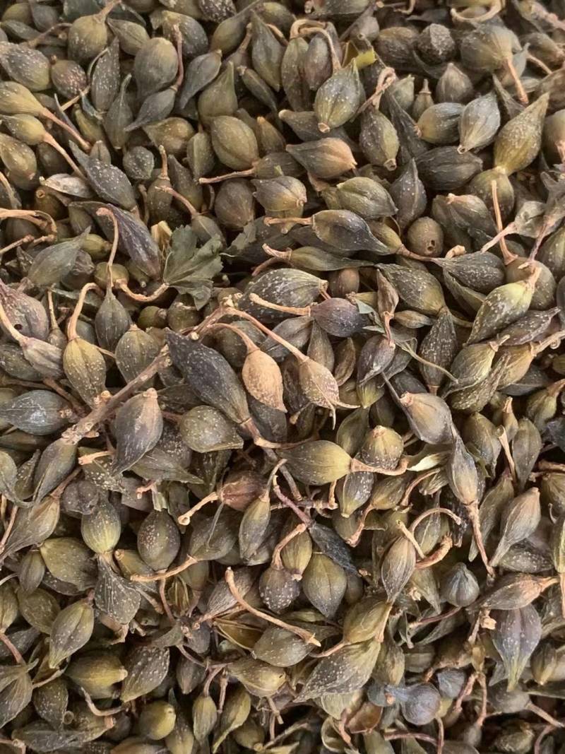 连翘【包邮】三斤起发货可批量可零售量大从优