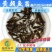 2023新苗全雄黄骨鱼苗黄颡鱼苗杂交黄骨鱼苗黄辣丁