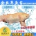 【2023新苗】俄罗斯金草鱼苗金丝草鱼苗黄金鲩鱼苗