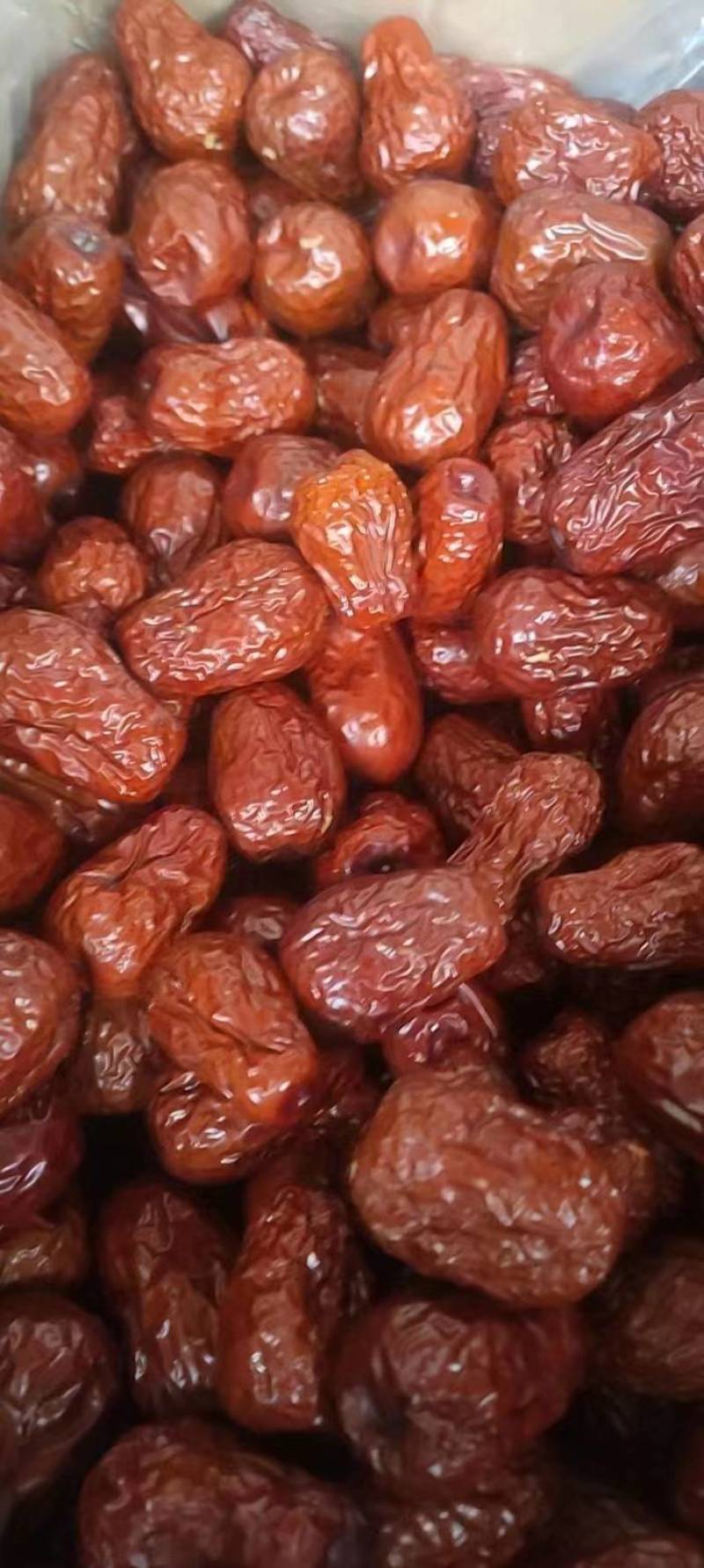 山东乐陵金丝小枣，大量上市，质量保证可视频看货欢迎订购