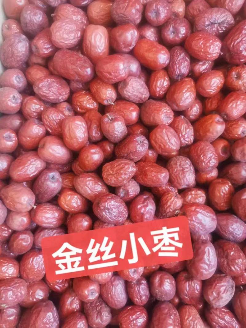 山东乐陵金丝小枣，大量上市，质量保证可视频看货欢迎订购