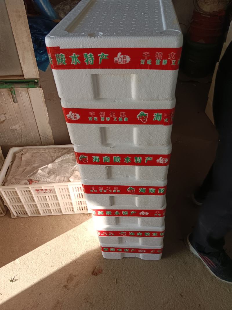 优质圣女果贝贝口感好价格合理