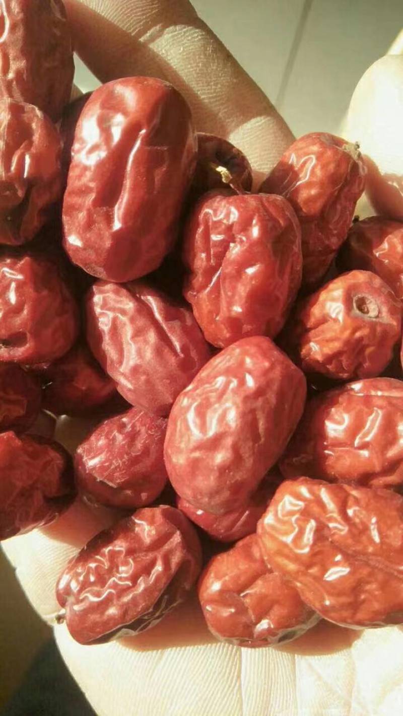 山东乐陵金丝小枣，大量上市，质量保证可视频看货欢迎订购