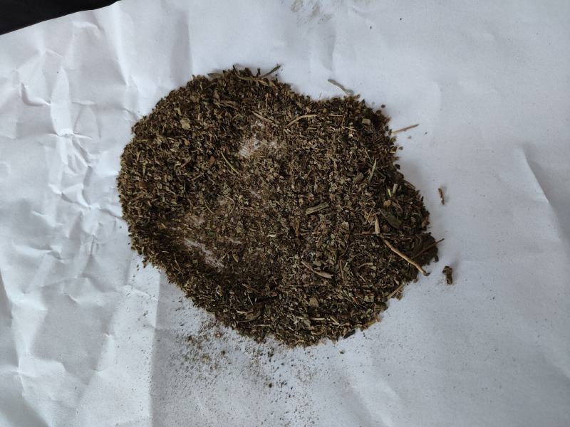 大青叶沫子板蓝根碎板蓝根叶批发诚信经营支持混批数量有限