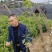 基地直发两年生楠木营养袋苗、三年生楠木营养袋苗