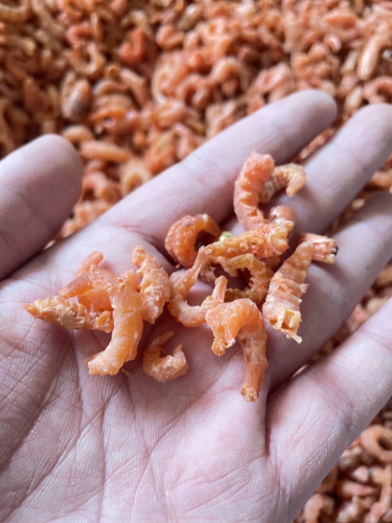 海米虾仁水饺米一件代发