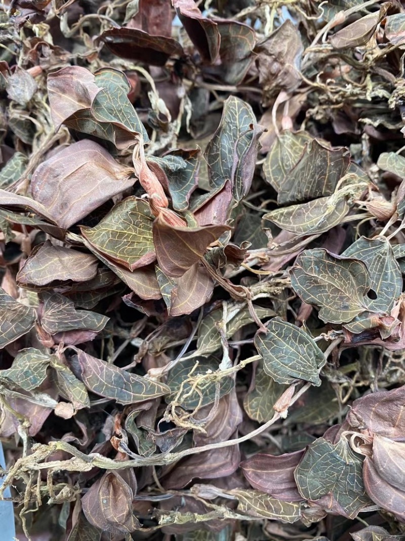 本地圆叶开花金线莲48小时发货