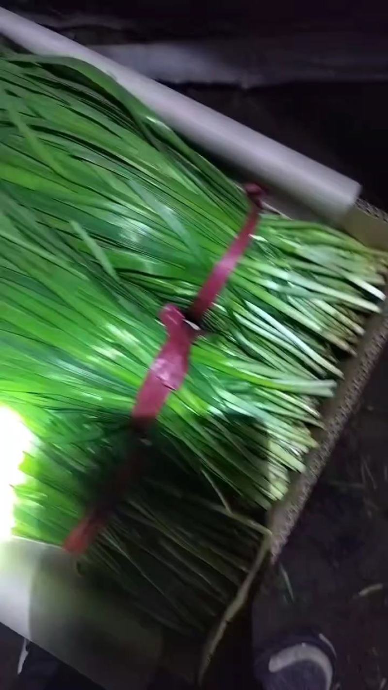 忙的没时间更新，想装货，联系我，关注我朋友圈