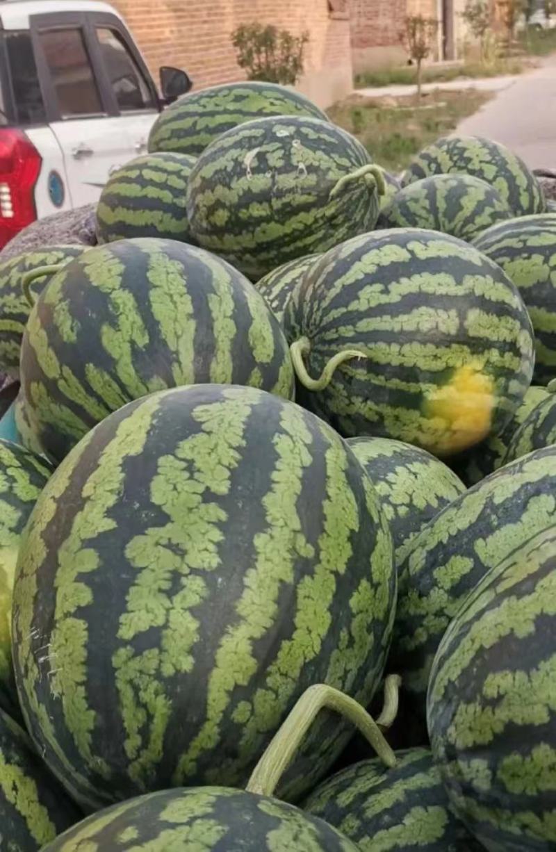 天禧4k西瓜种子高品质礼品西瓜种子皮薄瓤红椭圆形小西瓜