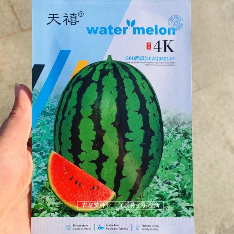 天禧4k西瓜种子高品质礼品西瓜种子皮薄瓤红椭圆形小西瓜