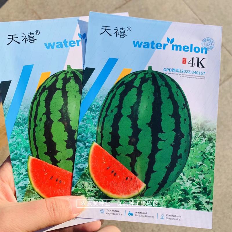 天禧4k西瓜种子高品质礼品西瓜种子皮薄瓤红椭圆形小西瓜