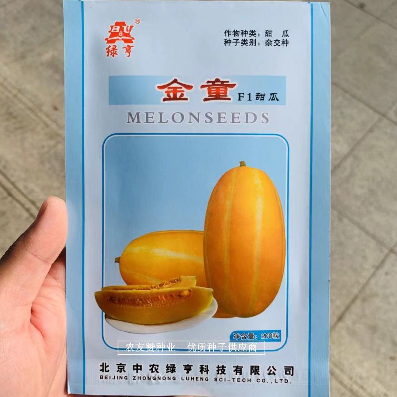 绿亨金童甜瓜种子北方抗病脆甜红肉厚薄皮甜瓜种子黄金道甜瓜