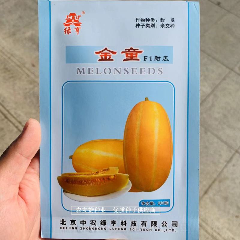 绿亨金童甜瓜种子北方抗病脆甜红肉厚薄皮甜瓜种子黄金道甜瓜